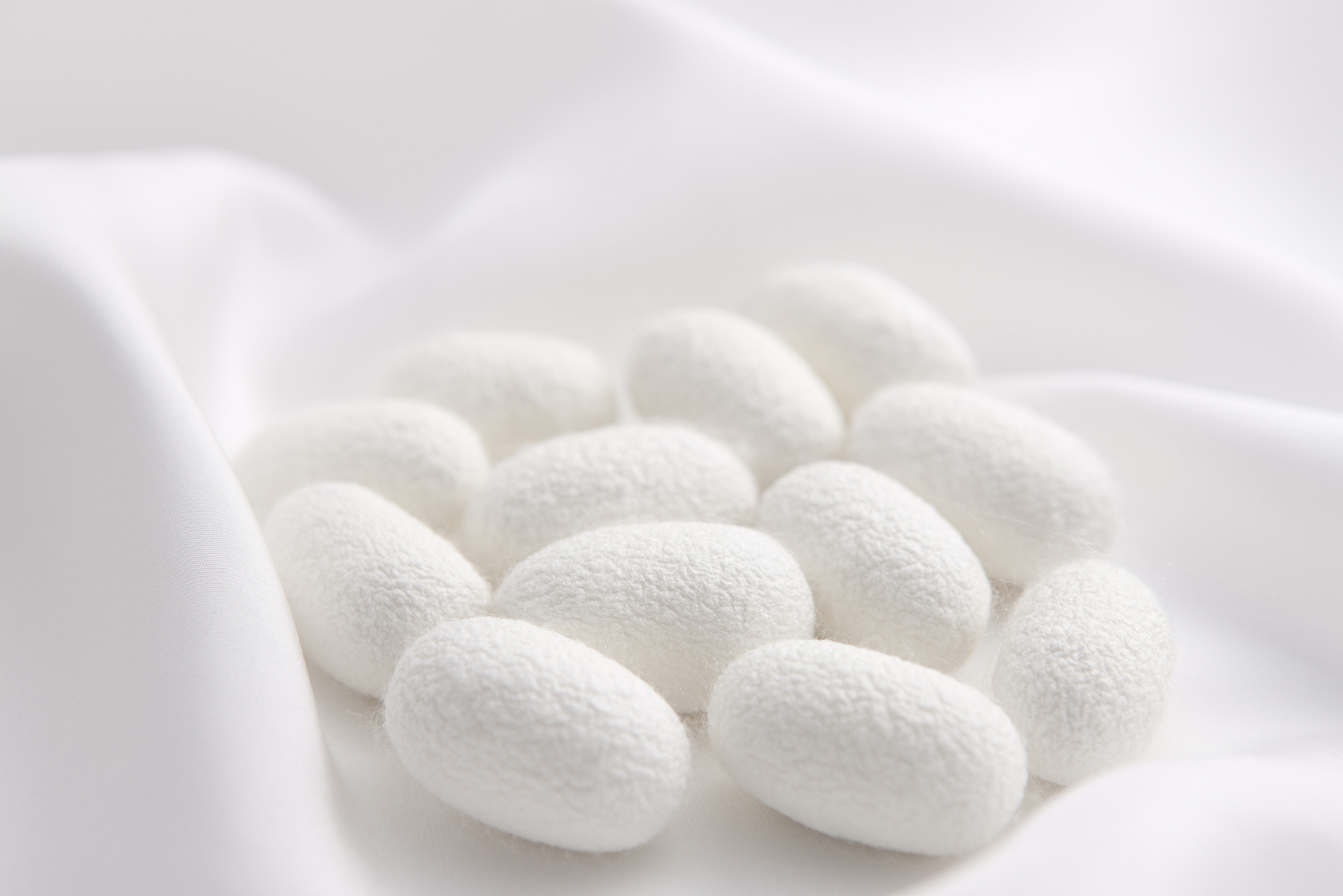 國家“十四五”重點布局領(lǐng)域 | 再生材料——絲素蛋白